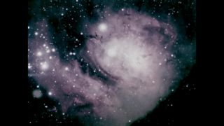 Link to Video