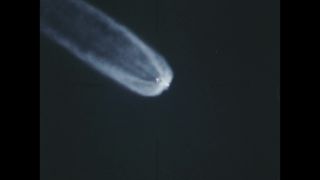 Link to Video | color, 1969, 1968, 1960s