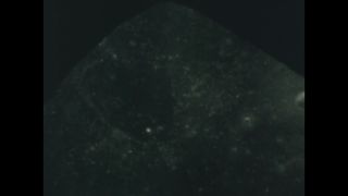 Link to Video | color, 1969, 1968, 1960s