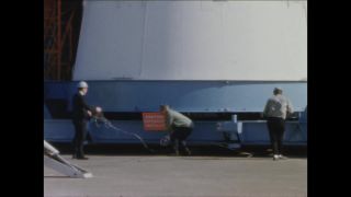 Link to Video