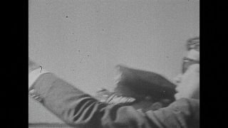 Link to Video | personality