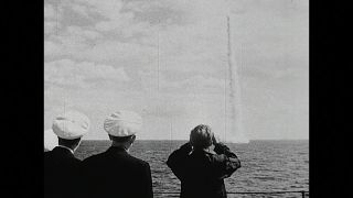 Link to Video | personality