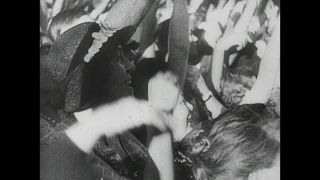 Link to Video | personality