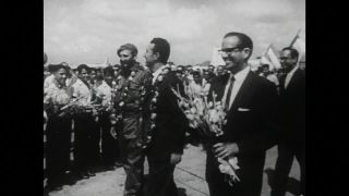 Link to Video | personality