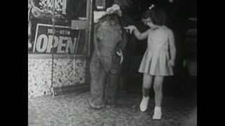 Link to Video | United States of America, Los Angeles, California