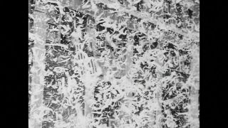 Link to Video | personality