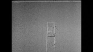 Link to Video | personality