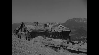 Link to Video | personality