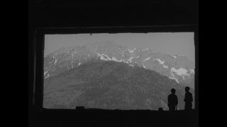 Link to Video | personality