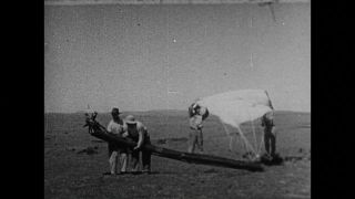 Link to Video | personality