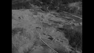 Link to Video | personality