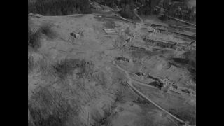 Link to Video | personality