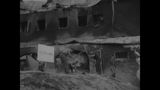 Link to Video | personality