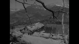 Link to Video | personality