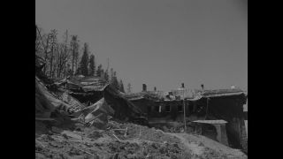 Link to Video | personality