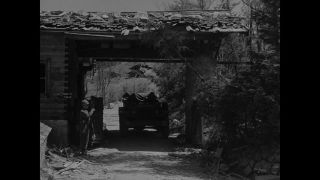 Link to Video | personality