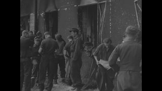 Link to Video | personality