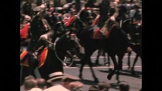 Link to Video