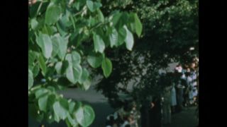 Link to Video