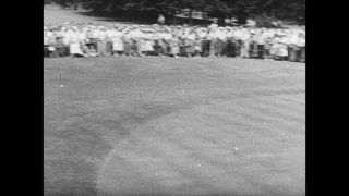 Link to Video | personality