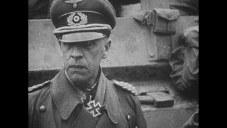 Link to Video | personality