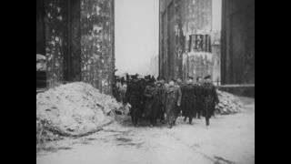 Link to Video | personality