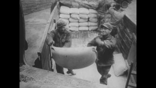 Link to Video | Airbridge, black-and-white photography, black and white