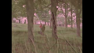 Link to Video | color