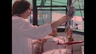 Link to Video | color