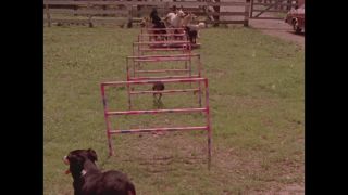 Link to Video | color