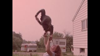Link to Video | color