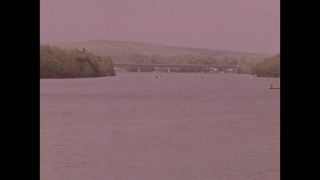 Link to Video | color