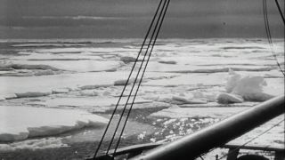 Link to Video | Byrd Antarctic Expedition