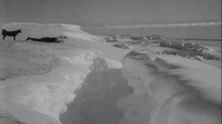 Link to Video | Byrd Antarctic Expedition