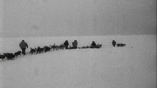 Link to Video | Byrd Antarctic Expedition