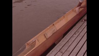 Link to Video | color