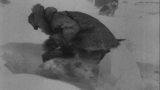 Link to Video | Byrd Antarctic Expedition