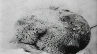 Link to Video | Byrd Antarctic Expedition