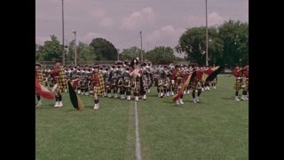 Link to Video | color