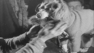 Link to Video | Byrd Antarctic Expedition