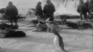 Link to Video | Byrd Antarctic Expedition