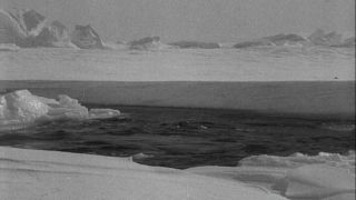 Link to Video | Byrd Antarctic Expedition