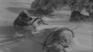 Link to Video | Byrd Antarctic Expedition