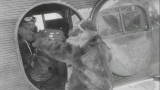 Link to Video | Byrd Antarctic Expedition, aviation pioneer, pioneer