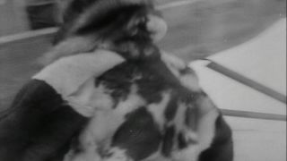 Link to Video | Byrd Antarctic Expedition, aviation pioneer, pioneer