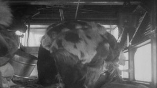 Link to Video | Byrd Antarctic Expedition, aviation pioneer, pioneer