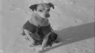 Link to Video | Byrd Antarctic Expedition