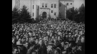 Link to Video | personality