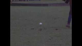 Link to Video