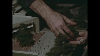 Link to Video | personality